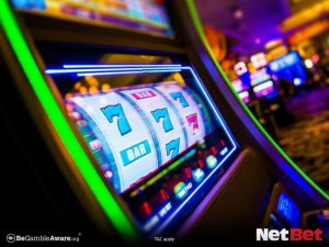 jgbet|Bingo Online – Experimente Grátis no Cassino Brasileiro